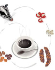 coffee cup, and luwak coffee beans on a white background