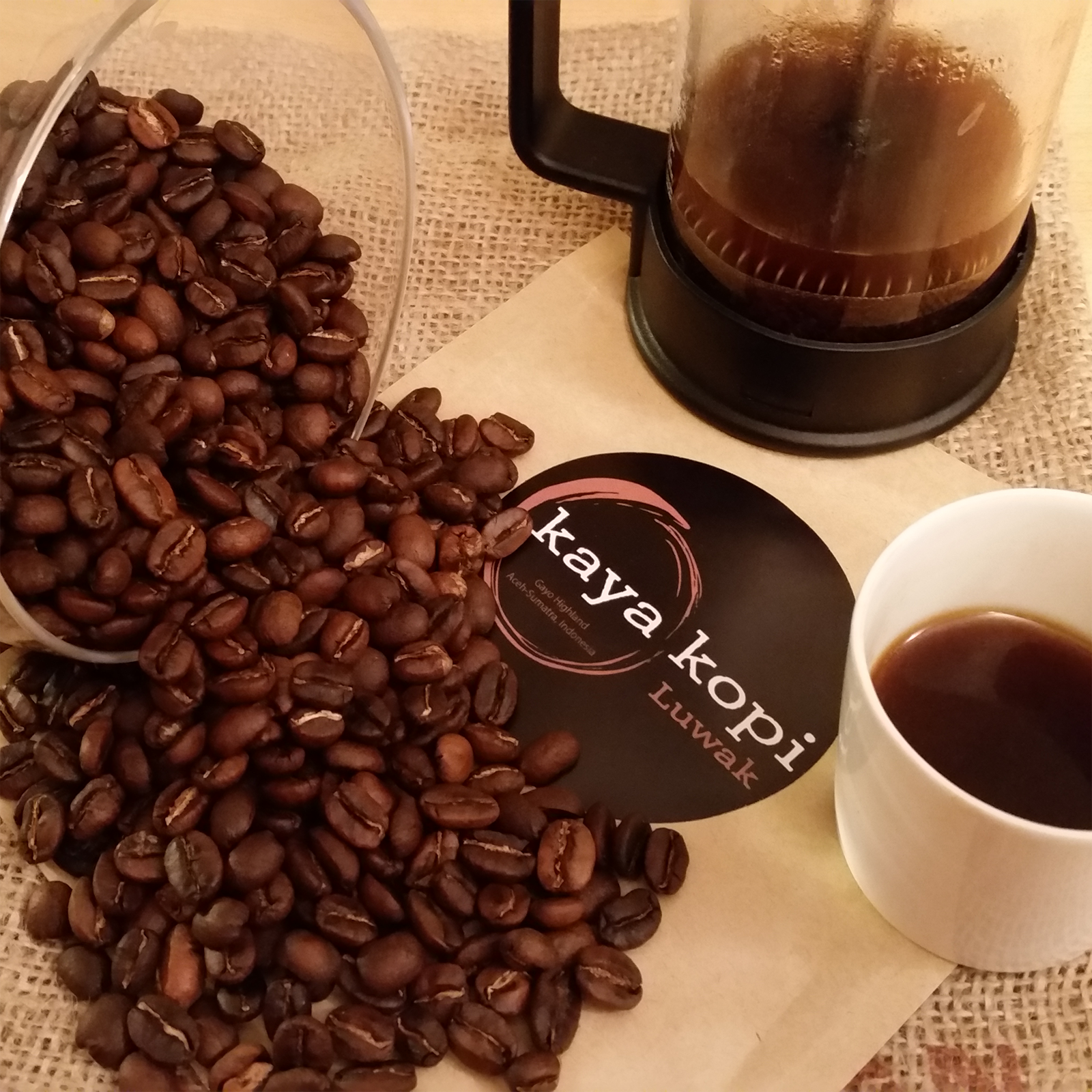 Coffee beans, a French press, and a cup of coffee on a table with a 'kaya kopi' coaster.