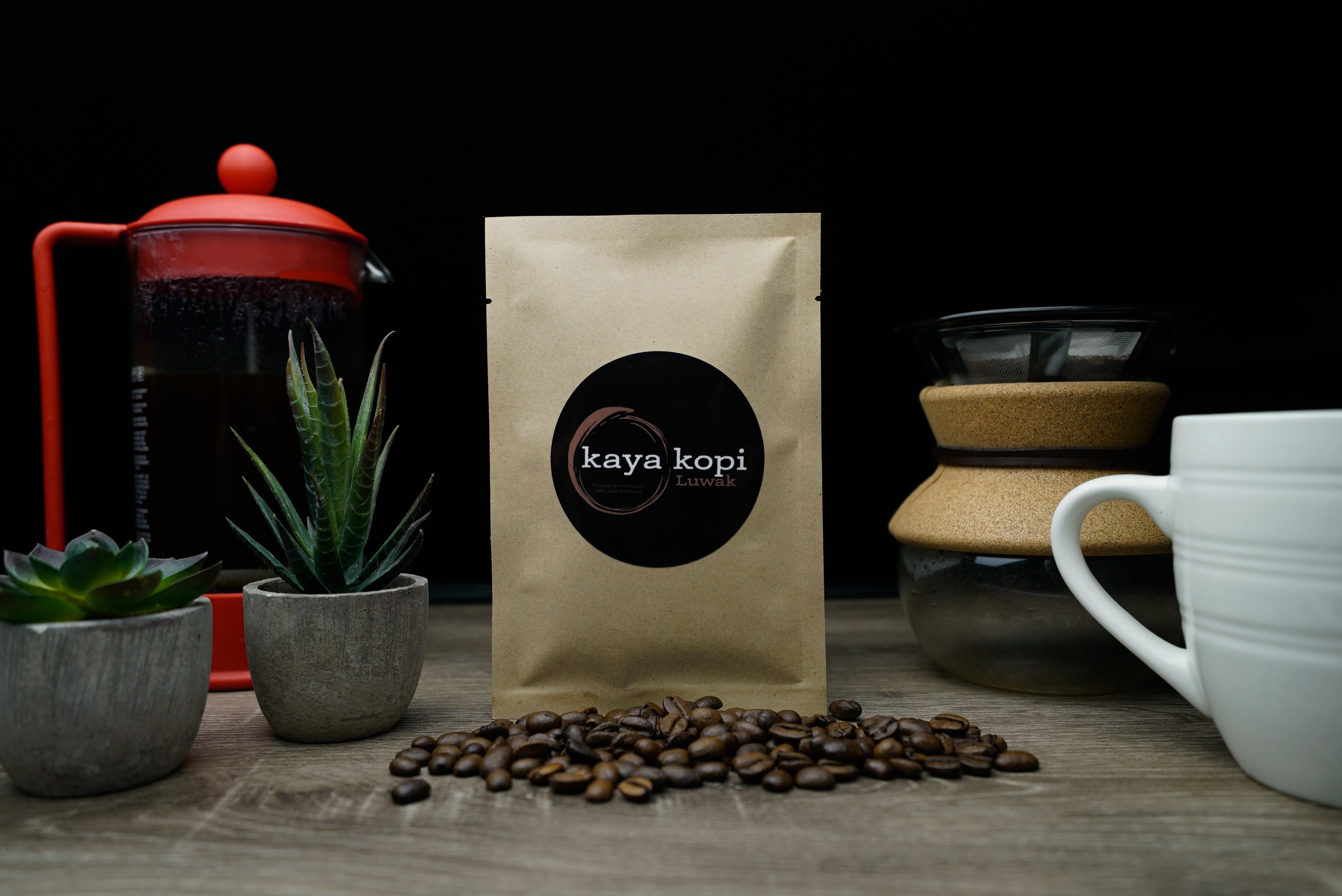 Shop Kopi Luwak - Buy The Most Exclusive Coffee On Earth — Kaya