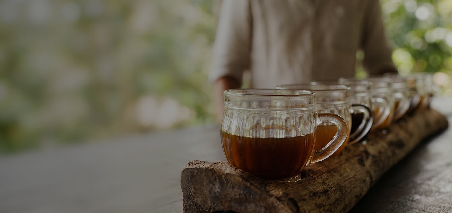 Row of glass mugs with luwak coffee on a wooden tray outdoors