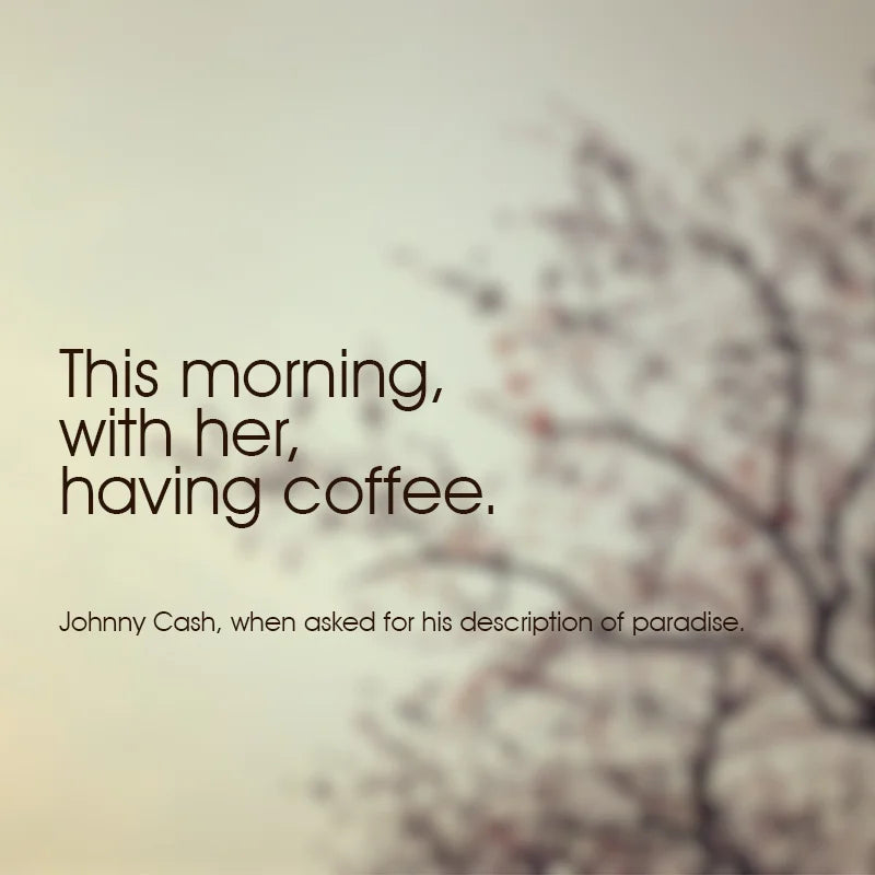 peaceful morning luwak coffee moment together