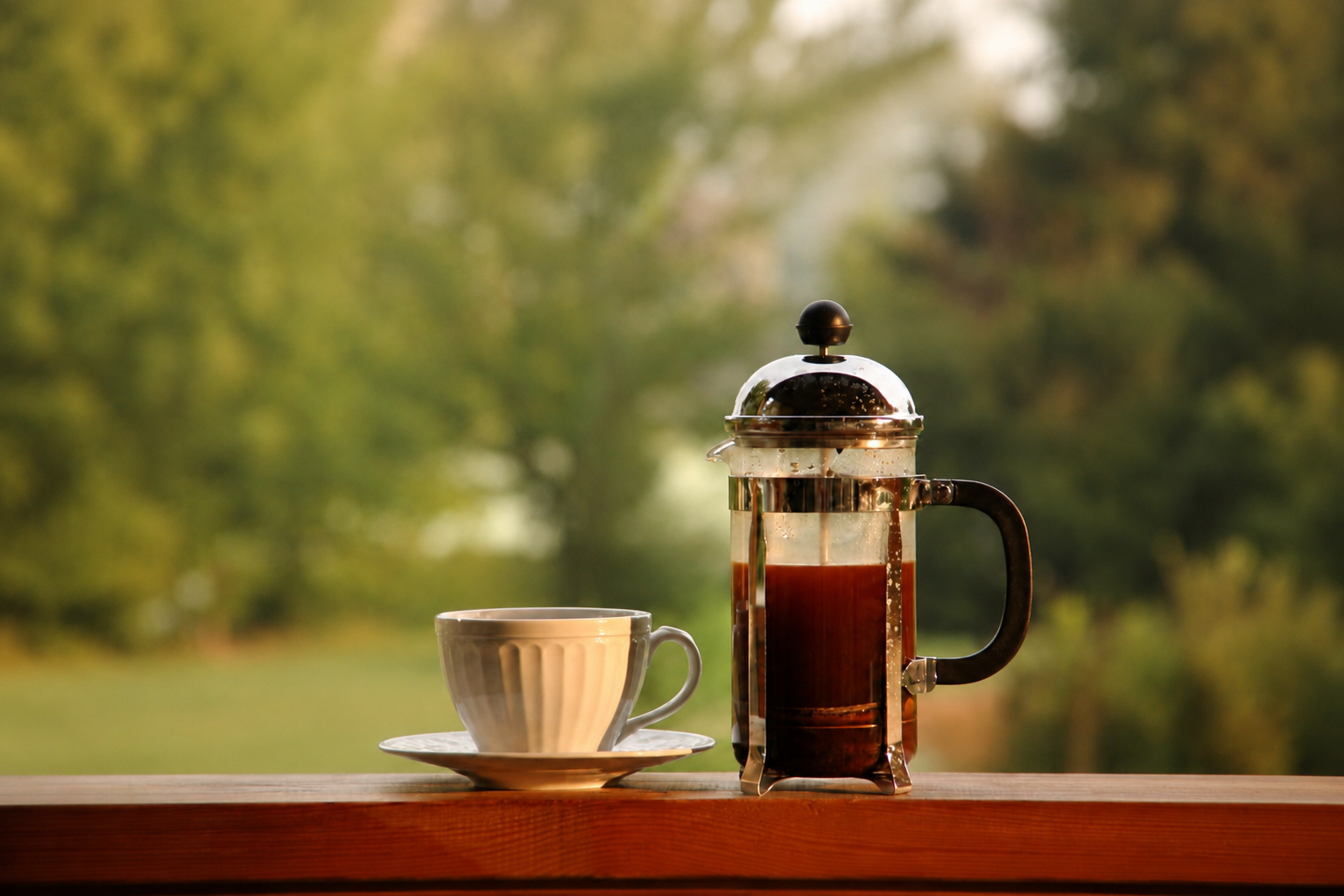Brewing Kopi Luwak with a French Press