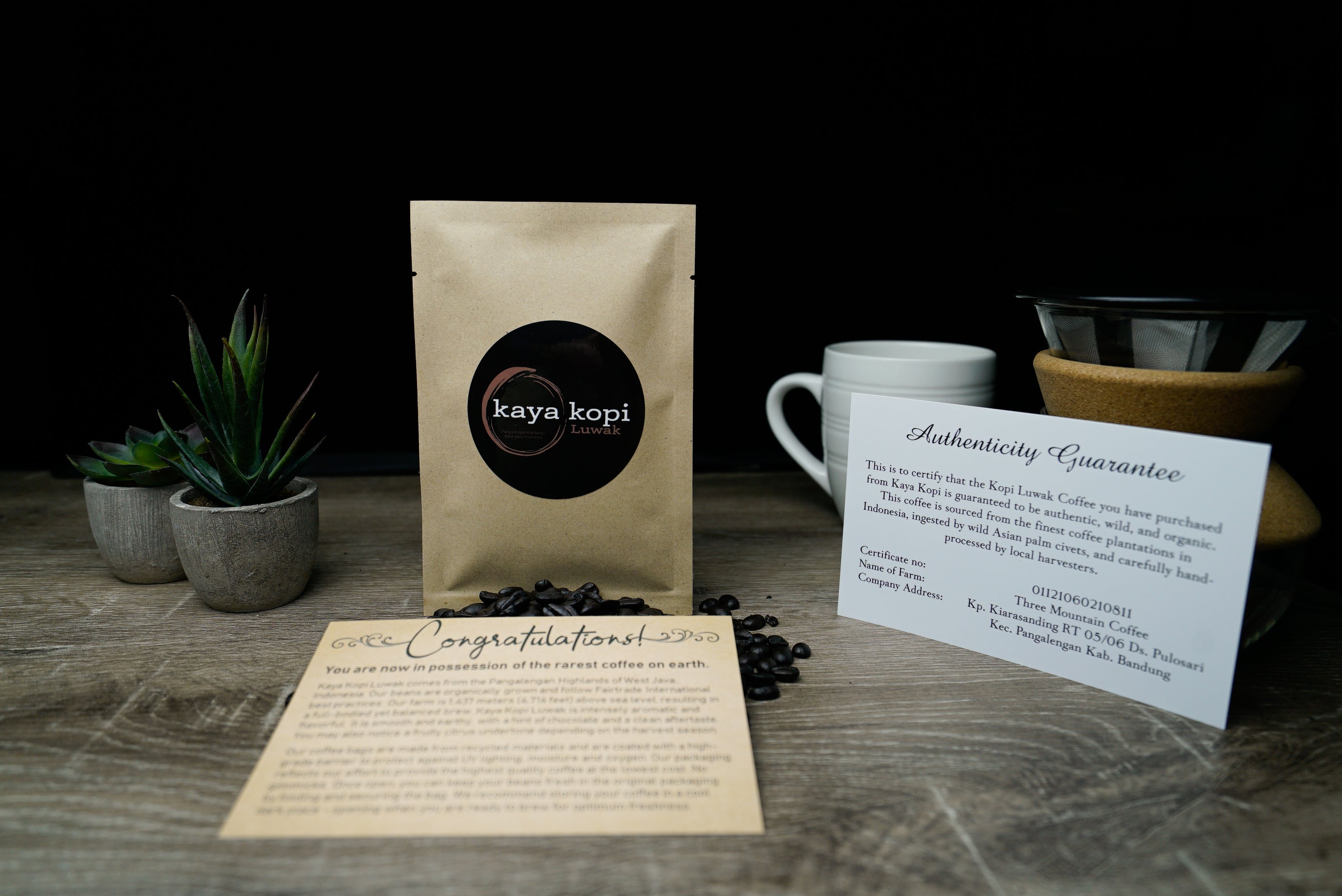 ジャコウネココーヒー500g　Musang Coffee Kape Umali Shop Kopi Luwak - Buy The Most Exclusive Coffee On Earth — Kaya