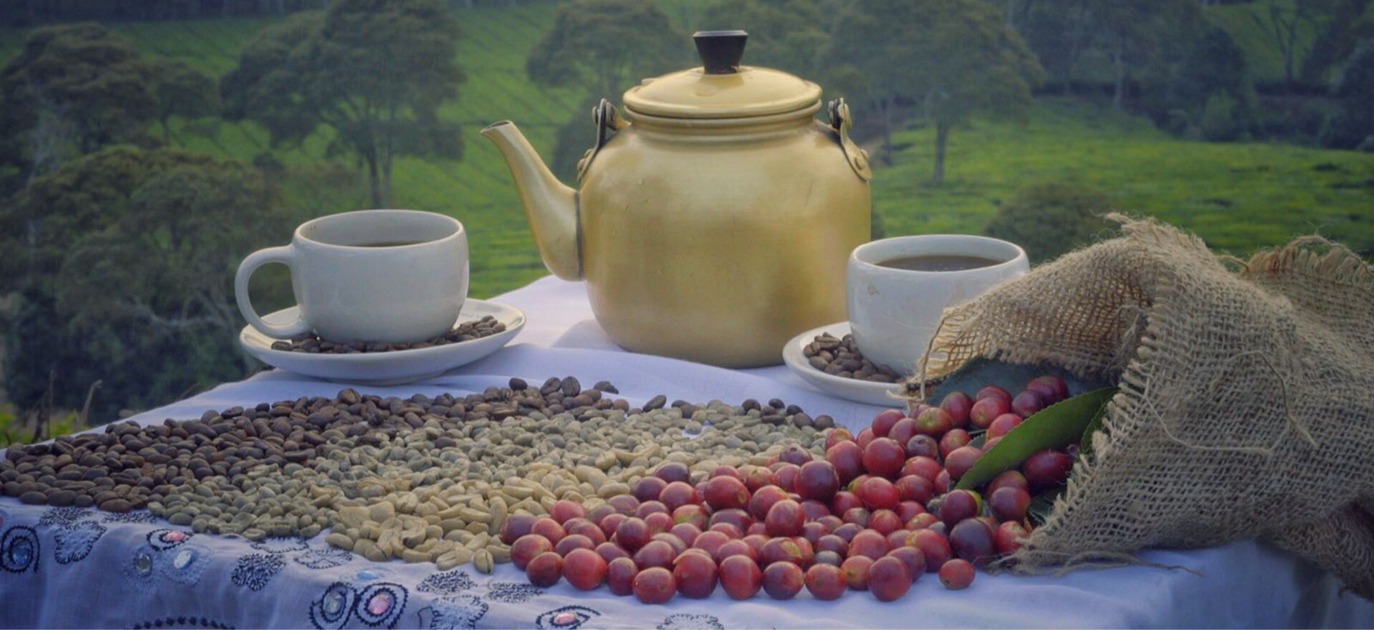 Luxury tea set with Luwak coffee beans placed on a scenic mountain background